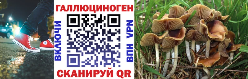 наркотики  Уварово  Галлюциногенные грибы Magic Shrooms 